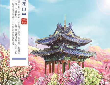 中国动画阿槑
