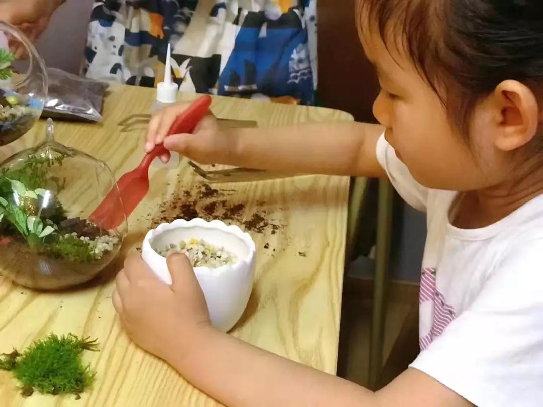 阿槑的雏鹰假日小队活动