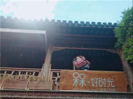 动画IP阿槑的槑好时光